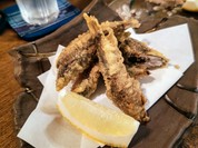 食ゆりは