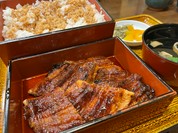 特上う御飯