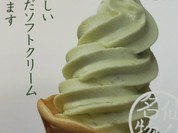 美味しそうなずんだソフトクリーム！