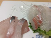 すし小島