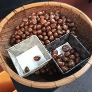 聘珍大甘栗 北京小路店