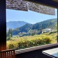 田の花