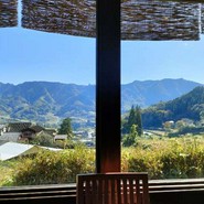 田の花