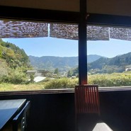 田の花