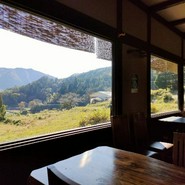 田の花