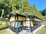 田の花