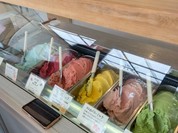 狛犬GELATO