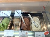 狛犬GELATO