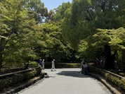 豆政　 金閣寺境内売店
