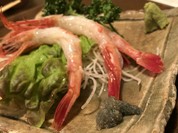 松月
