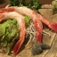 松月