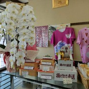 野田屋菓子舗