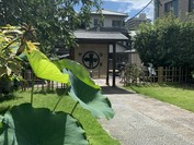 中村藤吉本店 平等院店