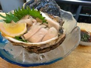 岩牡蠣刺身