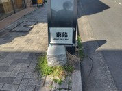 道路沿い