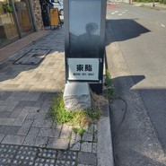 道路沿い
