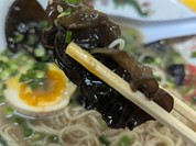 よかろうもん