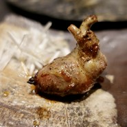 鳥さわ22