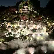 ビュッフェ
