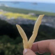 からつバーガー　松原本店