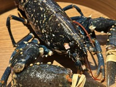 ブルーオマール海老