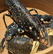 ブルーオマール海老