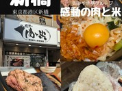 感動の肉と米 新橋店