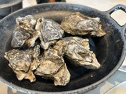 絶景露天風呂の宿 銀波荘