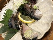 伊達酒場 強太朗