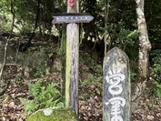 伴天連