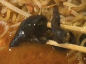 大きなキクラゲも入ってます！
