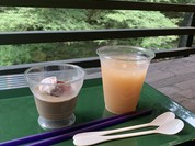 古今藤や