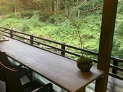 古今藤や