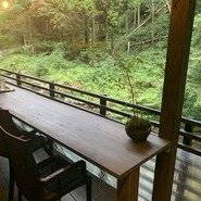 古今藤や