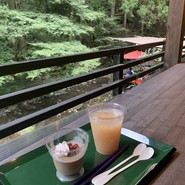 古今藤や