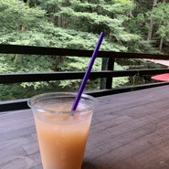 古今藤や