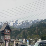 今藤商店