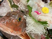 弥吉本店