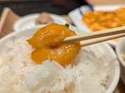 火鍋 小肥羊 豊洲店