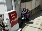 サファイア