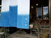 風の樹