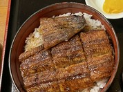 力丸