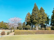 三重カンツリークラブ