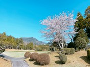 三重カンツリークラブ