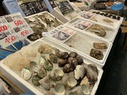 西川鮮魚店