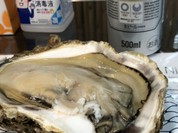 西川鮮魚店