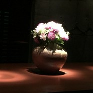 グロス ザ バー