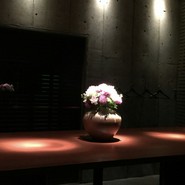 グロス ザ バー