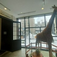 Northern Kitchen ～All Day Dining～