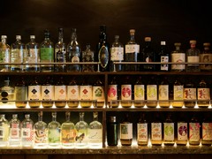 ジンは全品ハーフサイズで飲めます！350円～